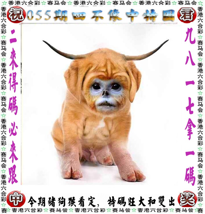 图片正在更新中……
