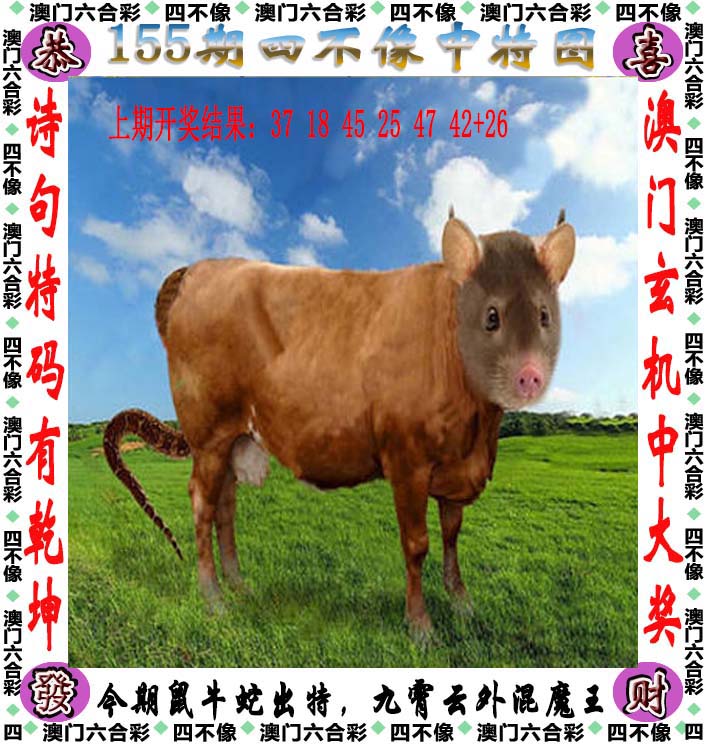 点击图片放大