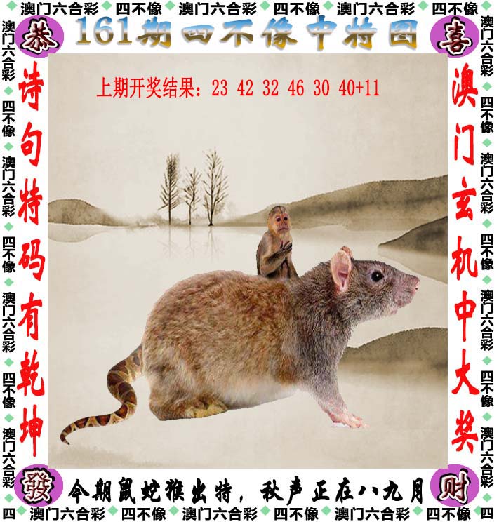 点击图片放大