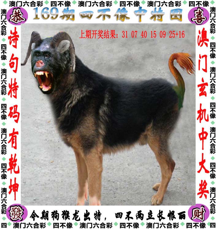 点击图片放大