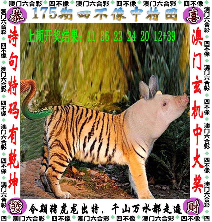 点击图片放大