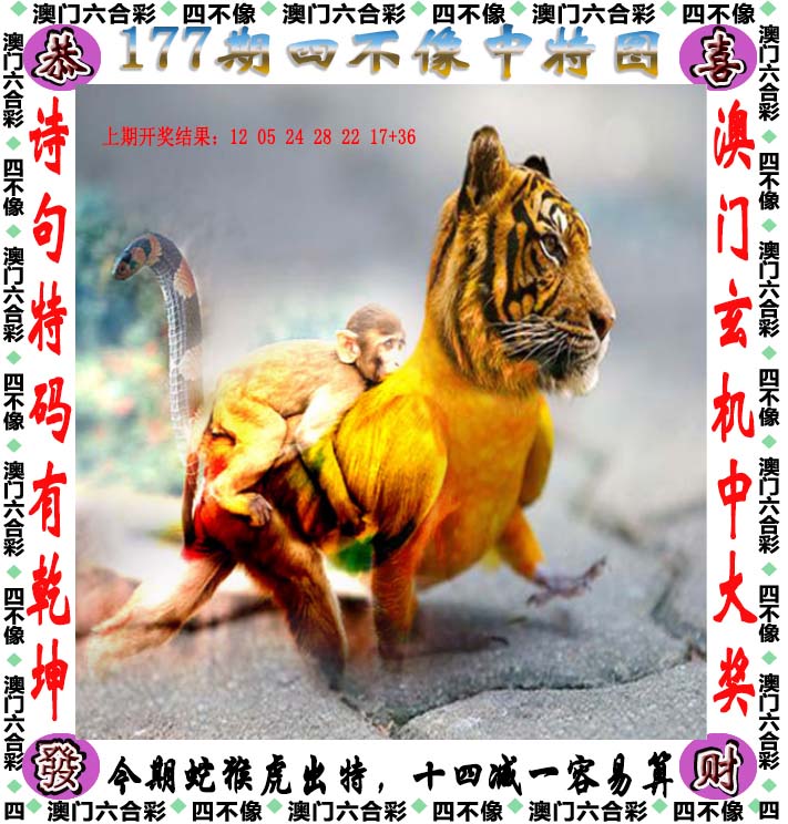 点击图片放大