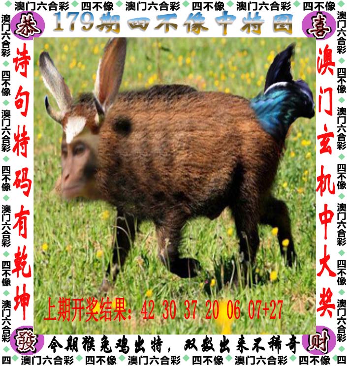 点击图片放大