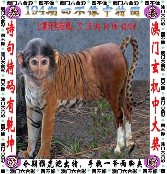 点击图片放大